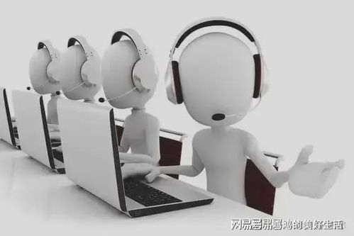 蕓豆花官網(wǎng)客服服務體系升級，提供全方位用戶信息咨詢服務